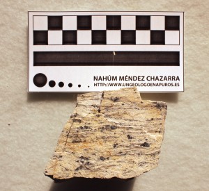 Muestra de mano de un gneis de Sierra Nevada