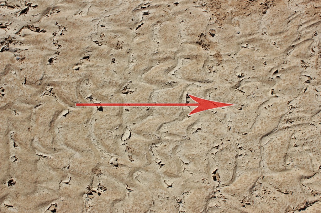 ¿Hacia adonde se movía el agua?