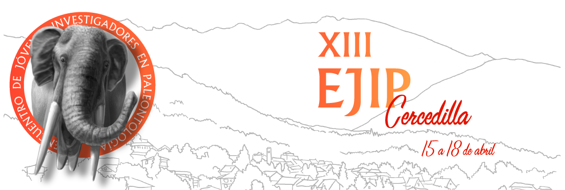 Cartel EJIP 2015