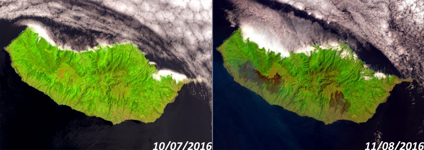 La isla de Madeira, antes (y durante) los incendios que la están asolando. USGS/NASA.